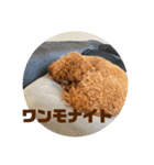 ピノくんのもふもふスタンプ（個別スタンプ：31）