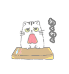 宴！食べられるジト目の虚無猫ちゃん日常編（個別スタンプ：4）