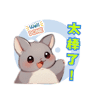 チンチラ - ライフスタイルの写真 1（個別スタンプ：1）