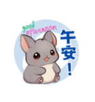 チンチラ - ライフスタイルの写真 1（個別スタンプ：33）