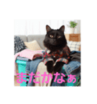 ラブリーキャット⑱。黒猫（個別スタンプ：18）