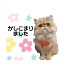 はなぺちゃねこのらい♡♡♡（個別スタンプ：4）