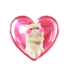 はなぺちゃねこのらい♡♡♡（個別スタンプ：17）