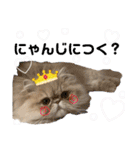 はなぺちゃねこのらい♡♡♡（個別スタンプ：18）