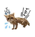 はなぺちゃねこのらい♡♡♡（個別スタンプ：24）