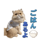 はなぺちゃねこのらい♡♡♡（個別スタンプ：27）