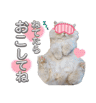 はなぺちゃねこのらい♡♡♡（個別スタンプ：35）
