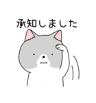 かわいい、ねこさん！（個別スタンプ：8）