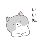 かわいい、ねこさん！（個別スタンプ：16）