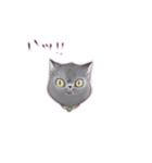 猫ちゃんバラエティパックスタンプ（個別スタンプ：5）