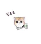 猫ちゃんバラエティパックスタンプ（個別スタンプ：10）