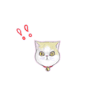 猫ちゃんバラエティパックスタンプ（個別スタンプ：11）