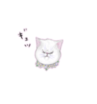 猫ちゃんバラエティパックスタンプ（個別スタンプ：18）