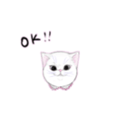 猫ちゃんバラエティパックスタンプ（個別スタンプ：19）