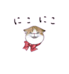 猫ちゃんバラエティパックスタンプ（個別スタンプ：20）