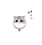 猫ちゃんバラエティパックスタンプ（個別スタンプ：22）