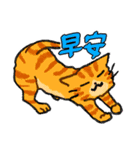ずっと使える猫達のスタンプ★中国語③（個別スタンプ：1）