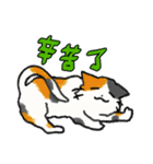 ずっと使える猫達のスタンプ★中国語③（個別スタンプ：10）