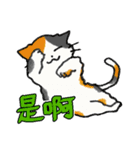 ずっと使える猫達のスタンプ★中国語③（個別スタンプ：11）