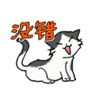 ずっと使える猫達のスタンプ★中国語③（個別スタンプ：13）