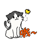 ずっと使える猫達のスタンプ★中国語③（個別スタンプ：14）