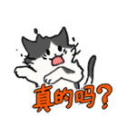 ずっと使える猫達のスタンプ★中国語③（個別スタンプ：15）