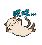 ずっと使える猫達のスタンプ★中国語③（個別スタンプ：18）