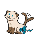ずっと使える猫達のスタンプ★中国語③（個別スタンプ：19）