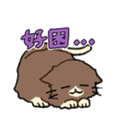ずっと使える猫達のスタンプ★中国語③（個別スタンプ：24）