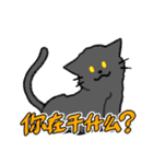 ずっと使える猫達のスタンプ★中国語③（個別スタンプ：31）
