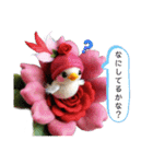小鳥たちに癒される日常（個別スタンプ：29）
