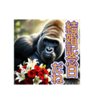 【結婚記念日とか誕生日】お祝いするゴリラ（個別スタンプ：1）