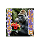 【結婚記念日とか誕生日】お祝いするゴリラ（個別スタンプ：4）