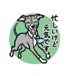 多忙・余裕なイタグレ達のスタンプ（個別スタンプ：12）