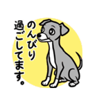 多忙・余裕なイタグレ達のスタンプ（個別スタンプ：13）