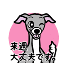 多忙・余裕なイタグレ達のスタンプ（個別スタンプ：16）