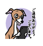 多忙・余裕なイタグレ達のスタンプ（個別スタンプ：17）