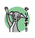 多忙・余裕なイタグレ達のスタンプ（個別スタンプ：19）