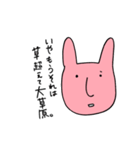 darui usagi（個別スタンプ：25）