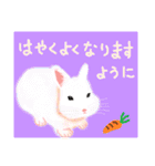 個性豊かな動物たちの日常会話（個別スタンプ：5）