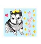 個性豊かな動物たちの日常会話（個別スタンプ：20）