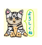 個性豊かな動物たちの日常会話（個別スタンプ：32）