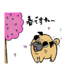 あたちパグのこうめ！！3（個別スタンプ：1）