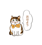 キジ猫くぅさんの挨拶スタンプ（個別スタンプ：1）