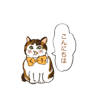 キジ猫くぅさんの挨拶スタンプ（個別スタンプ：2）