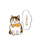 キジ猫くぅさんの挨拶スタンプ（個別スタンプ：7）