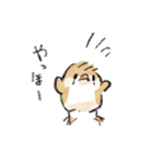 わっふのおえかきキンカスタンプ（個別スタンプ：1）