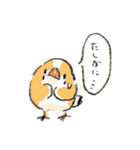 わっふのおえかきキンカスタンプ（個別スタンプ：16）