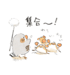 わっふのおえかきキンカスタンプ（個別スタンプ：17）