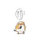 わっふのおえかきキンカスタンプ（個別スタンプ：28）